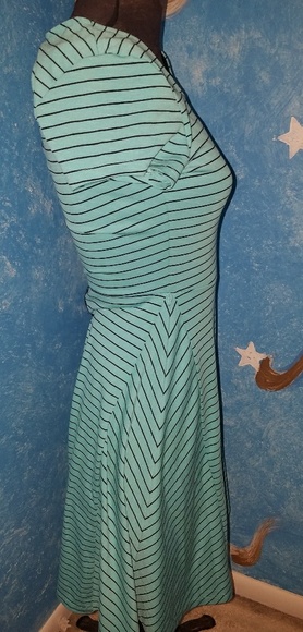 The Limited Dress - Picture 5 of 6